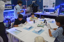 写真 交流レクリエーション