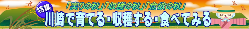 文化・芸術