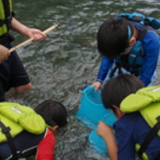 川遊び体験
