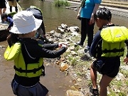 川遊びの写真