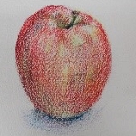 リンゴの色えんぴつ画