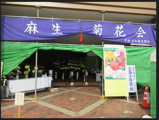 麻生菊花大会