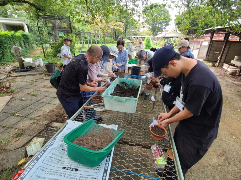 タネから育てる花壇づくり（秋）