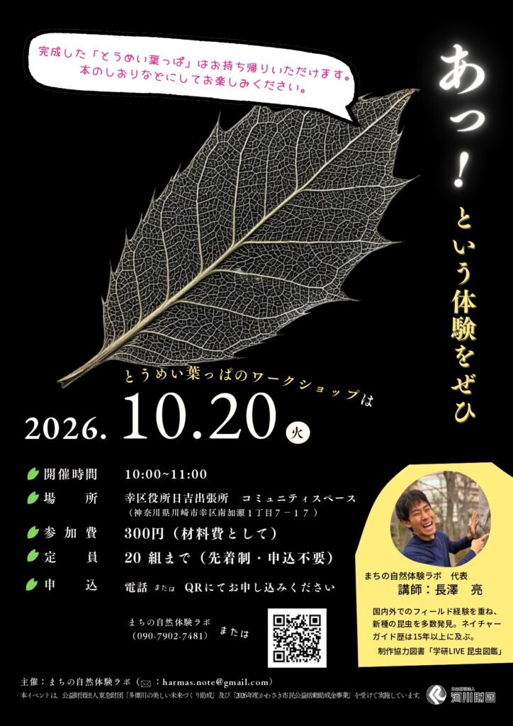 とうめい葉っぱのワークショップ ～「あっ！」という体験をぜひ～
