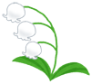 花のイラスト