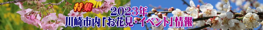 2023年　川崎市内「お花見・イベント」情報の画像