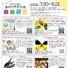 自由研究のチラシ